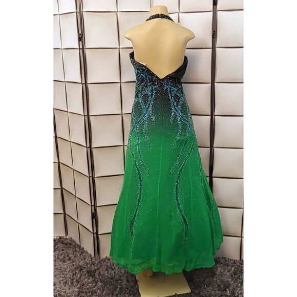 Alyce Designs gown - Picture 10 of 10